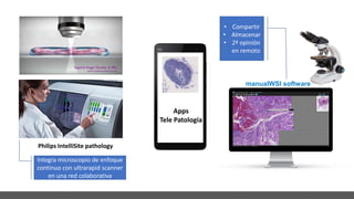 Apps
Tele Patología
manualWSI software
Philips IntelliSite pathology
Integra microscopio de enfoque
continuo con ultrarapid scanner
en una red colaborativa
• Compartir
• Almacenar
• 2ª opinión
en remoto
 