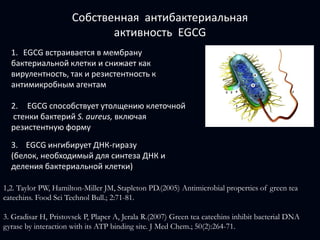 HPIN обнаруживается при биопсии в 9 % (4-16%);