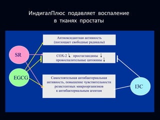 HPIN – 80% риск выявления инвазивного РПЖ в течение 10 лет;