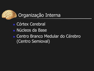 Organização Interna
 Córtex Cerebral
 Núcleos da Base
 Centro Branco Medular do Cérebro
(Centro Semioval)
 