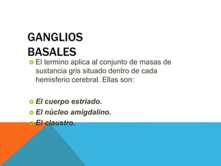 GANGLIOS
BASALES
 El termino aplica al conjunto de masas de
sustancia gris situado dentro de cada
hemisferio cerebral. Ellas son:
 El cuerpo estriado.
 El núcleo amigdalino.
 El claustro.
 