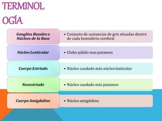 TERMINOL
OGÍA
• Conjunto de sustancias de gris situadas dentro
de cada hemisferio cerebral
Ganglios Basales o
Núcleos de la Base
• Globo pálido mas putamenNúcleo Lenticular
• Núcleo caudado más núcleo lenticularCuerpo Estriado
• Núcleo caudado más putamenNeoestriado
• Núcleo amigdalinoCuerpo Amigdalino
 