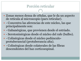 Pars Reticular Telencefalo (ganglios bsales) | PPTX