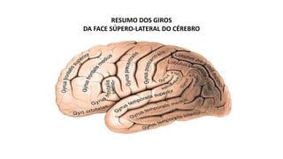 RESUMO DOS GIROS
DA FACE SÚPERO-LATERAL DO CÉREBRO
 