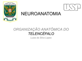 NEUROANATOMIA
ORGANIZAÇÃO ANATÔMICA DO
TELENCÉFALO
Luiza da Silva Lopes
 