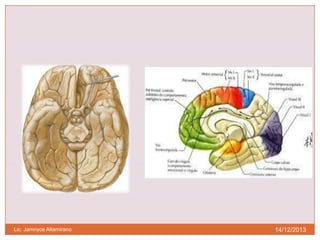 Lic. Jamnyce Altamirano

14/12/2013

 