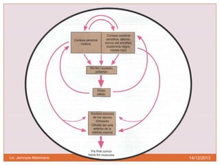 Lic. Jamnyce Altamirano

14/12/2013

 