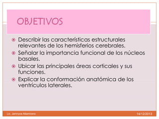  Describir las características estructurales

relevantes de los hemisferios cerebrales.
 Señalar la importancia funcional de los núcleos
basales.
 Ubicar las principales áreas corticales y sus
funciones.
 Explicar la conformación anatómica de los
ventrículos laterales.

Lic. Jamnyce Altamirano

14/12/2013

 