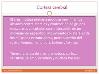 Corteza cerebral
 El

área motora primaria produce movimientos
aislados contralaterales y contracción de grupos
musculares vinculados con la ejecución de un
movimiento específico. Movimientos bilaterales de
los músculos extraoculares, parte superior del
rostro, lengua, mandíbula, laringe y faringe.

 Tiene

aferencia de área premotora, corteza
sensitiva, tálamo, cerebelo y núcleos basales.

Lic. Jamnyce Altamirano

14/12/2013

 