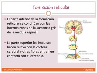 Formación reticular
 El parte inferior de la formación

reticular se continúan con las
interneuronas de la sustancia gris
de la médula espinal.
 La parte superior los impulsos

hacen relevo con la corteza
cerebral y otras fibras entran en
contacto con el cerebelo.

Lic. Jamnyce Altamirano

14/12/2013

 