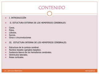 CONTENIDO



I. INTRODUCCIÓN
II. ESTUCTURA EXTERNA DE LOS HEMIFERIOS CEREBRALES:







Caras.
Polos.
Lóbulos.
Surcos.
Giros o circunvoluciones



III. ESTUCTURA INTERNA DE LOS HEMIFERIOS CEREBRALES:







Estructura de la corteza cerebral.
Núcleos basales (ganglios basales).
Sustancia blanca de los hemisferios cerebrales.
Ventrículos laterales.
Áreas corticales.

Lic. Jamnyce Altamirano

14/12/2013

 