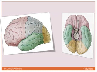 Lic. Jamnyce Altamirano

14/12/2013

 