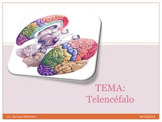 TEMA:
Telencéfalo
Lic. Jamnyce Altamirano

14/12/2013

 