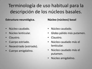 Terminología de uso habitual para la
     descripción de los núcleos basales.
Estructura neurológica.       Núcleo (núcleos) basal

•   Núcleo caudado.           • Núcleo caudado.
•   Núcleo lenticular.        • Globo pálido más putamen.
•   Claustro.                 • Claustro.
•   Cuerpo estriado.          • Núcleo caudado más el
•   Neoestriado (estriado).     lenticular.
•   Cuerpo amigdalino.        • Núcleo caudado más el
                                putamen.
                              • Núcleo amigdalino.
 