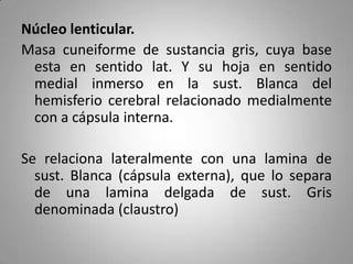 Núcleo lenticular.
Masa cuneiforme de sustancia gris, cuya base
 esta en sentido lat. Y su hoja en sentido
 medial inmerso en la sust. Blanca del
 hemisferio cerebral relacionado medialmente
 con a cápsula interna.

Se relaciona lateralmente con una lamina de
  sust. Blanca (cápsula externa), que lo separa
  de una lamina delgada de sust. Gris
  denominada (claustro)
 