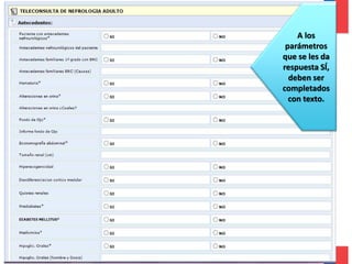 A los
parámetros
que se les da
respuesta SÍ,
deben ser
completados
con texto.

Gobierno de Chile / Ministerio de Salud

 