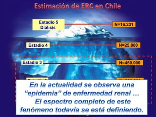 Estadio 5
Diálisis

Estadio 4

Estadio 3

Estadio 2

Estadio 1

Gobierno de Chile / Ministerio de Salud

N=16.231

N=25.000

N=450.000

N=300.000

N=360.000

 