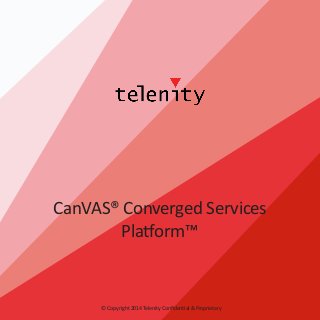 CanVAS® Converged Services
Platform™

© Copyright 2014 Telenity Confidential & Proprietary

 