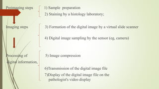 Preimaging steps 1) Sample preparation
2) Staining by a histology laboratory;
Imaging steps 3) Formation of the digital image by a virtual slide scanner
4) Digital image sampling by the sensor (eg, camera)
Processing of 5) Image compression
digital information,
6)Transmission of the digital image file
7)Display of the digital image file on the
pathologist's video display
 