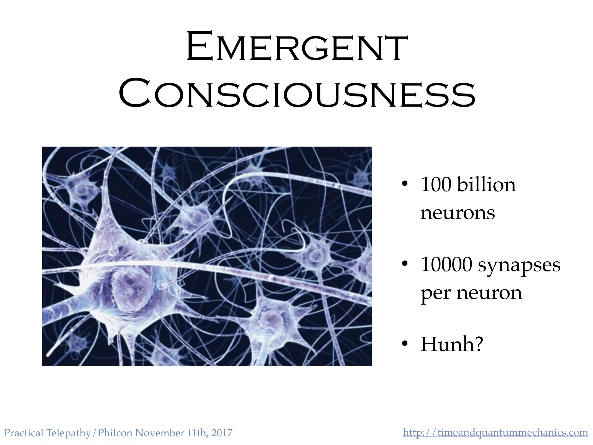 http://timeandquantummechanics.comPractical Telepathy/Philcon November 11th, 2017
Emergent
Consciousness
• 100 billion
neurons
• 10000 synapses
per neuron
• Hunh?
 