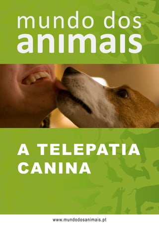 A TELEPATIA
CANINA
www.mundodosanimais.pt
 
