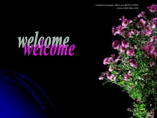 welcome 