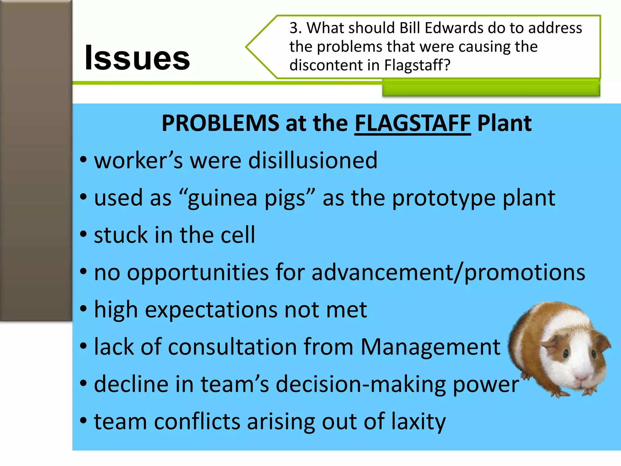 PROBLEMS at the FLAGSTAFF Plant
• worker’s were disillusioned
• used as “guinea pigs” as the prototype plant
• stuck in the cell
• no opportunities for advancement/promotions
• high expectations not met
• lack of consultation from Management
• decline in team’s decision-making power
• team conflicts arising out of laxity
Issues
3. What should Bill Edwards do to address
the problems that were causing the
discontent in Flagstaff?
 