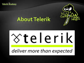 About Telerik
 