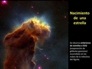  Sensores de guiado fino