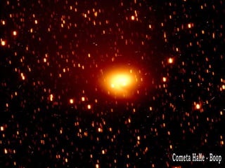Cometa Halle - Boop 