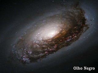 Olho Negro 