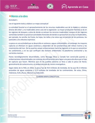 Recopilación y/o edición
Tomasa Ruíz Sobre Villa
Asesor Técnico Pedagógico de Telesecundarias
Actividad 1.
Lee el siguiente texto y elabora un mapa conceptual
La actividad forestal es el aprovechamiento de los recursos maderables-uso de la madera y celulosa
directo del árbol- y no maderables-otros usos de la vegetación. La mayor producción forestal se da en
las regiones de bosques y selva de donde se extraen los recursos maderables; aunque en las regiones
semiáridas también se practican actividades forestales de donde se aprovechan recursos no maderables,
por ejemplo, las semilla, los frutos, las hojas, los tallos y las raíces que se extraen de las cactáceas, los
pastizales y los arbustos espinosos.
La pesca es una actividad que se desarrolla en océanos y aguas continentales, sin embargo, las mayores
capturas se efectúan en aguas oceánicas y dependen de las características del relieve marino y los
movimientos del mar. De los puertos zarpan embarcaciones hacía las regiones en la que se concentran
los cardúmenes, y en las que confluyen dos factores ambientales: la plataforma continental y las
corrientes marinas.
Países tecnológicamente desarrollados, como Noruega EEUU y Canadá han construido puertos y
embarcaciones industrializados con sistemas de enfriamiento para lograr una pesca de altura por el tipo
de capturas que hacen. Mientras que en los pueblos costeros se lleva a cabo la pesca de litoral,
generalmente de autoconsumo, en embarcaciones de menor envergadura.
Según datos de la FAO, en 2014, la pesca fue de 93.4 millones de tonelada; de las que 81.5 millones
procedían de aguas oceánicas y 11.9 millones de toneladas de las continentales. De estas, China,
Indonesia, EUA y Rusia, liderean la producción.
ELABORA MAPA CONCEPTUAL
 