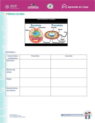 Recopilación y/o edición
MA. OLGA HERNANDEZ RODRIGUEZ
Asesor Técnico Pedagógico de Telesecundarias
ACTIVIDAD 1.
Característica
comparativa
Procariota Eucariota
Estructura
Número de
células
Origen
Características
secundarias
 