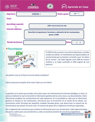 Recopilación y/o edición
MA. OLGA HERNANDEZ RODRIGUEZ
Asesor Técnico Pedagógico de Telesecundarias
¿Se podrán crear en el futuro cercano células completas?
¿Qué consecuencias podría tener esto? ¿Qué uso se le daría?
La genética es la ciencia que estudia, entre otras cosas, los mecanismos de la herencia biológica, es decir, el
proceso mediante el cual se transmite la información genética de los seres vivos a sus descendientes. Dicha
información establece las características de cada organismo. En la actualidad se sabe que la información
genética se localiza en los cromosomas, estructuras que se encuentran en el núcleo de las células. Los
cromosomas están formados por pequeñas unidades llamadas genes, que determinan la mayoría de las
características que poseen los seres vivos. El conjunto de genes de un organismo constituye el genotipo.
Gen: Fragmento del cromosoma que contiene la información para una característica. Cada organismo tiene
dos genes o alelos para una característica y cada uno de éstos proviene de uno de los progenitores.
1º “ ”
CIENCIAS I
ADN: Instrucciones de vida
/ /
Describe la importancia, funciones y ubicación de los cromosomas,
genes y ADN.
En 2010 se dio a conocer una noticia impactante, ¡se había
creado una célula!, se manifestaron por igual el júbilo y la
consternación por la emoción y el miedo a que “se saliera
de las manos”. ¡Se había logrado crear ADN de manera
sintética y se había sustituido el ADN original de una
bacteria!
 