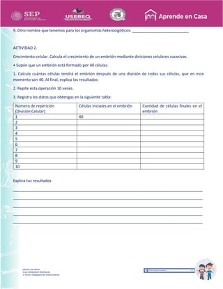 Recopilación y/o edición
MA. OLGA HERNANDEZ RODRIGUEZ
Asesor Técnico Pedagógico de Telesecundarias
9. Otro nombre que tenemos para los organismos heterocigóticos: __________________________
ACTIVIDAD 2.
Crecimiento celular. Calcula el crecimiento de un embrión mediante divisiones celulares sucesivas.
• Supón que un embrión está formado por 40 células.
1. Calcula cuántas células tendrá el embrión después de una división de todas sus células, que en este
momento son 40. Al final, explica los resultados:
2. Repite esta operación 10 veces.
3. Registra los datos que obtengas en la siguiente tabla:
Número de repetición
(División Celular)
Células iniciales en el embrión Cantidad de células finales en el
embrión
1 40
2
3
4
5
6
7
8
9
10
Explica tus resultados
_______________________________________________________________________________________
_______________________________________________________________________________________
_______________________________________________________________________________________
_______________________________________________________________________________________
_______________________________________________________________________________________
 