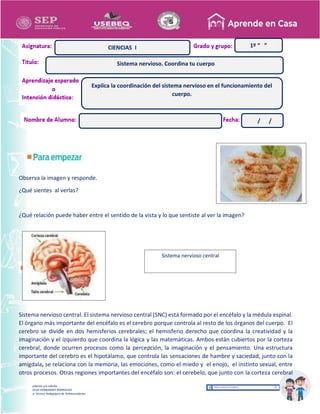 Recopilación y/o edición
MA. OLGA HERNANDEZ RODRIGUEZ
Asesor Técnico Pedagógico de Telesecundarias
Observa la imagen y responde.
¿Qué sientes al verlas?
¿Qué relación puede haber entre el sentido de la vista y lo que sentiste al ver la imagen?
Sistema nervioso central. El sistema nervioso central (SNC) está formado por el encéfalo y la médula espinal.
El órgano más importante del encéfalo es el cerebro porque controla al resto de los órganos del cuerpo. El
cerebro se divide en dos hemisferios cerebrales; el hemisferio derecho que coordina la creatividad y la
imaginación y el izquierdo que coordina la lógica y las matemáticas. Ambos están cubiertos por la corteza
cerebral, donde ocurren procesos como la percepción, la imaginación y el pensamiento. Una estructura
importante del cerebro es el hipotálamo, que controla las sensaciones de hambre y saciedad, junto con la
amígdala, se relaciona con la memoria, las emociones, como el miedo y el enojo, el instinto sexual, entre
otros procesos. Otras regiones importantes del encéfalo son: el cerebelo, que junto con la corteza cerebral
1º “ ”
CIENCIAS I
Sistema nervioso. Coordina tu cuerpo
/ /
Explica la coordinación del sistema nervioso en el funcionamiento del
cuerpo.
Sistema nervioso central
 