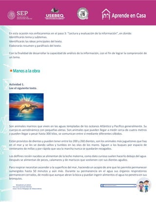 Recopilación y/o edición
Ana Laura Quintanar Martínez
Asesor Técnico Pedagógico de Telesecundarias
En esta ocasión nos enfocaremos en el paso 3: “Lectura y evaluación de la información”, en donde:
Identificarás tema y subtemas.
Identificarás las ideas principales del texto.
Elaborarás resumen y paráfrasis del texto.
Con la finalidad de desarrollar la capacidad de análisis de la información, con el fin de lograr la comprensión de
un tema.
Actividad 1.
Lee el siguiente texto.
Son animales marinos que viven en las aguas templadas de los océanos Atlántico y Pacífico generalmente. Su
cuerpo es aerodinámico con pequeñas aletas. Son animales que pueden llegar a medir cerca de cuatro metros
y pueden llegar a pesar hasta 300 kilos, se comunican entre sí mediante diferentes silbidos.
Están provistos de dientes y pueden tener entre los 200 y 260 dientes, son los animales más juguetones que hay
en el mar y se les ve dando saltos y tumbos en las olas de los mares. Siguen a los buques por espacio de
centenares de millas y por rápida que sea la marcha nunca se quedarán rezagados.
Los delfines recién nacidos se alimentan de la leche materna, como dato curioso suelen hacerlo debajo del agua.
Después se alimentan de peces, calamares y de mariscos que sostienen con sus dientes agudos.
Para respirar necesitan ascender a la superficie del mar, haciendo un acopio de aire que les permite permanecer
sumergidos hasta 50 minutos y aún más. Durante su permanencia en el agua sus órganos respiratorios
permanecen cerrados, de modo que aunque abran la boca y puedan ingerir alimentos el agua no penetra en sus
bronquios.
 