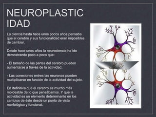 NEUROPLASTIC
IDAD
La ciencia hasta hace unos pocos años pensaba
que el cerebro y sus funcionalidad eran imposibles
de cambiar.
Desde hace unos años la neurociencia ha ido
demostrando poco a poco que:
- El tamaño de las partes del cerebro pueden
aumentarse a través de la actividad.
- Las conexiones entres las neuronas pueden
multiplicarse en función de la actividad del sujeto.
En definitiva que el cerebro es mucho más
moldeable de lo que pensábamos. Y que la
actividad es un elemento determinante en los
cambios de éste desde un punto de vista
morfológico y funcional.
 
