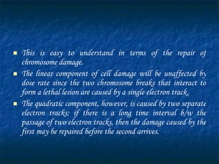 This is easy to understand in terms of the repair of chromosome damage.  The linear component of cell damage will be unaffected by dose rate since the two chromosome breaks that interact to form a lethal lesion are caused by a single electron track.  The quadratic component, however, is caused by two separate electron tracks; if there is a long time interval b/w the passage of two electron tracks, then the damage caused by the first may be repaired before the second arrives.  