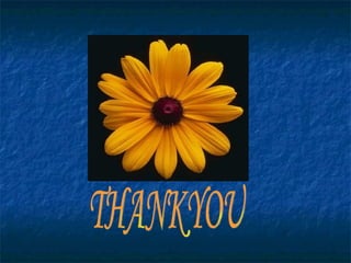 THANKYOU 