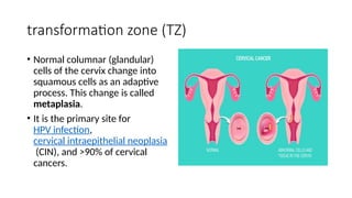 Teletherapy & brachy for cervical cancer.pptx