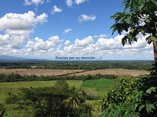 Gracias por su atención…..!

 