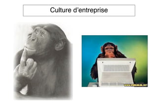 Culture d’entreprise
 
