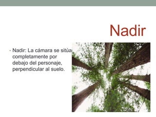 Nadir
• Nadir: La cámara se sitúa
 completamente por
 debajo del personaje,
 perpendicular al suelo.
 