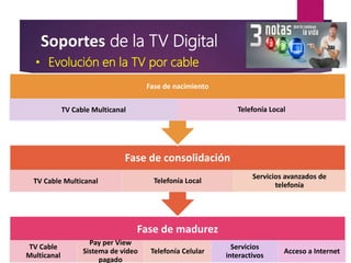 Soportes de la TV Digital
TV Cable Multicanal
Telefonía Celular Televisión Acceso a Internet
Fase de consolidación
TV Cable Multicanal Telefonía Local
Servicios avanzados de
telefonía
Fase de nacimiento
TV Cable Multicanal Telefonía Local
• Evolución en la TV por cable
 