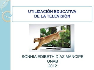 SONNIA EDIBETH DIAZ MANCIPE
           UNAB
            2012
 
