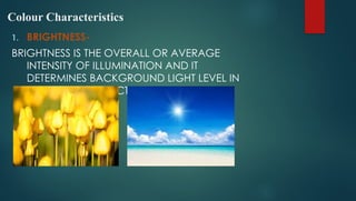 Colour Characteristics
1. BRIGHTNESS-
BRIGHTNESS IS THE OVERALL OR AVERAGE
INTENSITY OF ILLUMINATION AND IT
DETERMINES BACKGROUND LIGHT LEVEL IN
THE PRODUCED PICTURE.
 