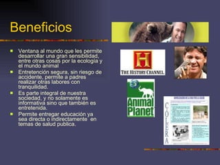 Beneficios Ventana al mundo que les permite desarrollar una gran sensibilidad, entre otras cosas por la ecología y el mundo animal  Entretención segura, sin riesgo de accidente, permite a padres realizar otras labores con tranquilidad. Es parte integral de nuestra sociedad, y no solamente es informativa sino que también es entretenida. Permite entregar educación ya sea directa o indirectamente  en temas de salud publica. 