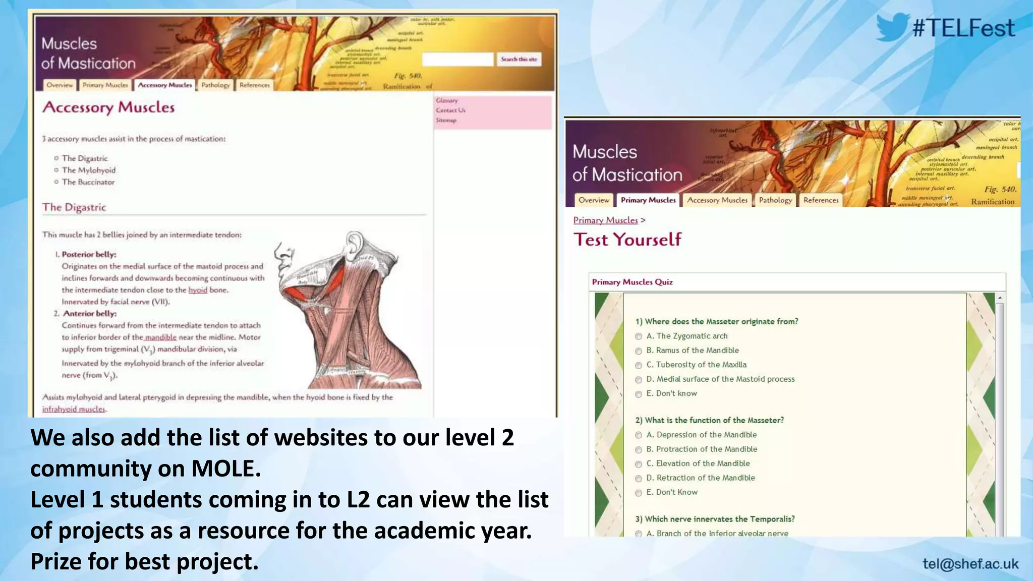 We also add the list of websites to our level 2 
community on MOLE. 
Level 1 students coming in to L2 can view the list 
of projects as a resource for the academic year. 
Prize for best project. 
 