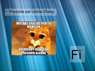• Produïda per Leticia Zhang




                               Fi
 